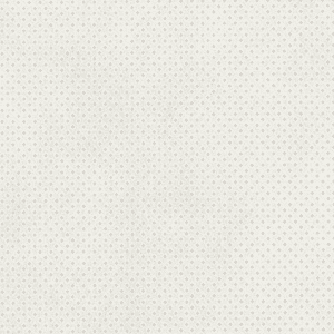 spunbond fabric (4)