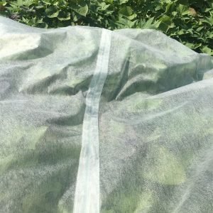 spunbond row cover material (1)