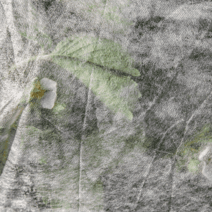 spunbond row cover material (8)